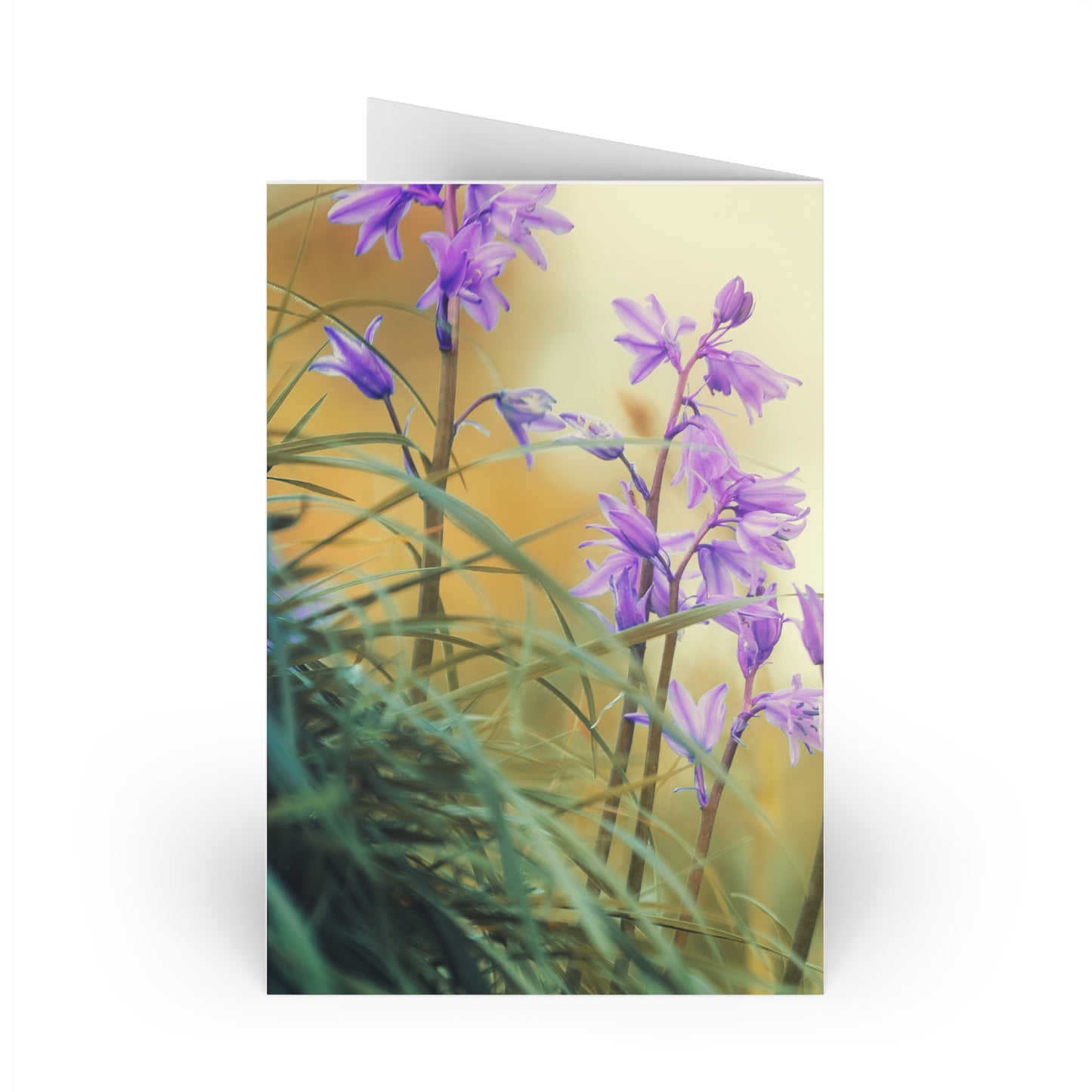 Sympathy Card - I wish for days